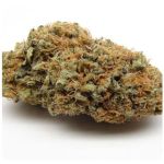 Шишки AK47 (Гидропоника, Бошка) VHQ в Муравленко Шишки AK47 (Гидропоника, Бошка) VHQ в Муравленко